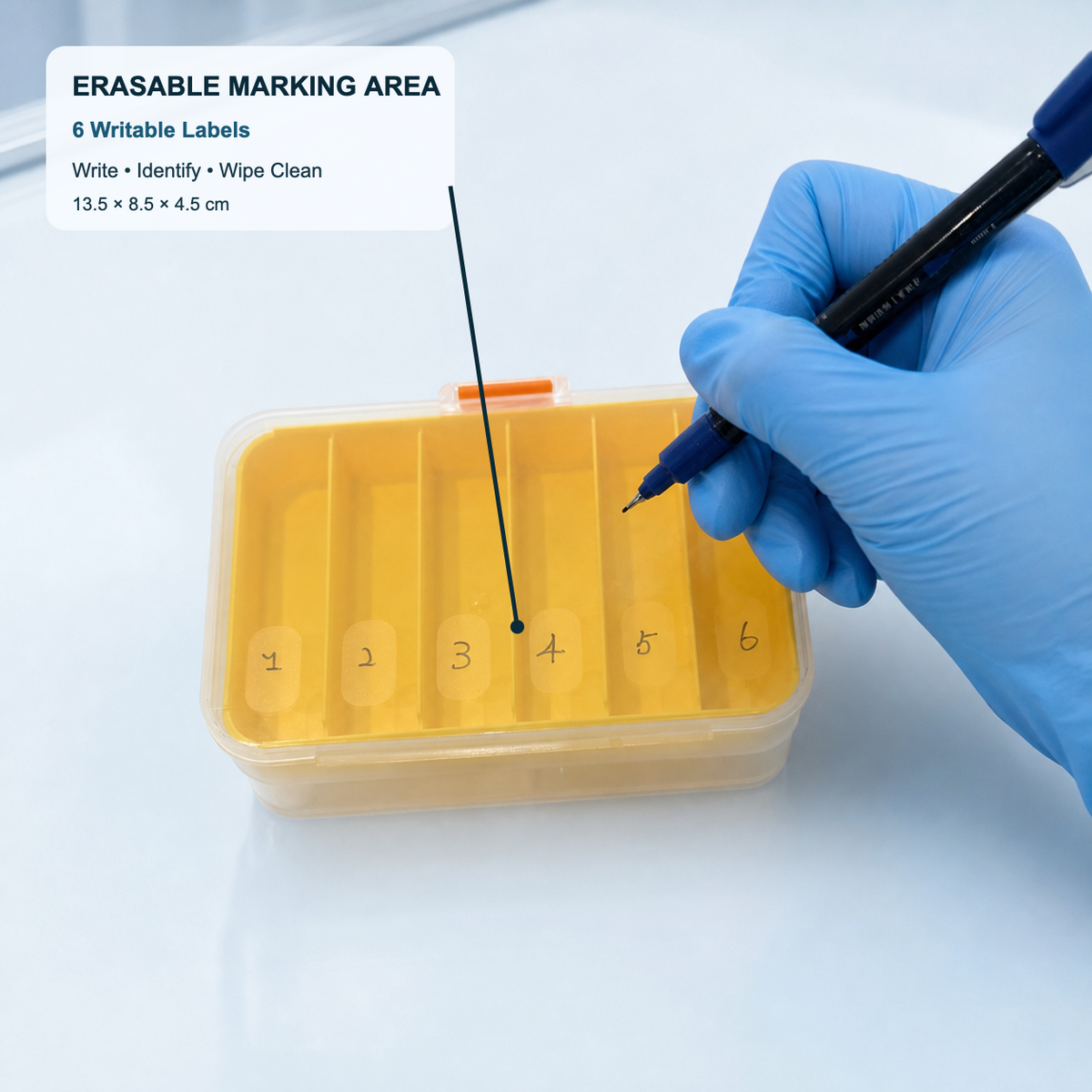 Yellow divided labbitlab Western blot incubation box for membrane workflows