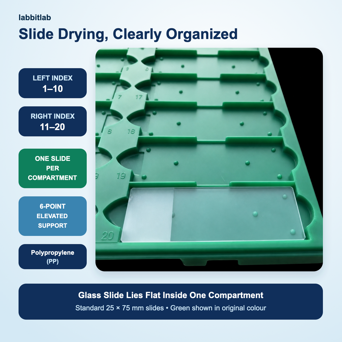 Glass microscope slide lying flat in one numbered compartment of a green polypropylene drying tray