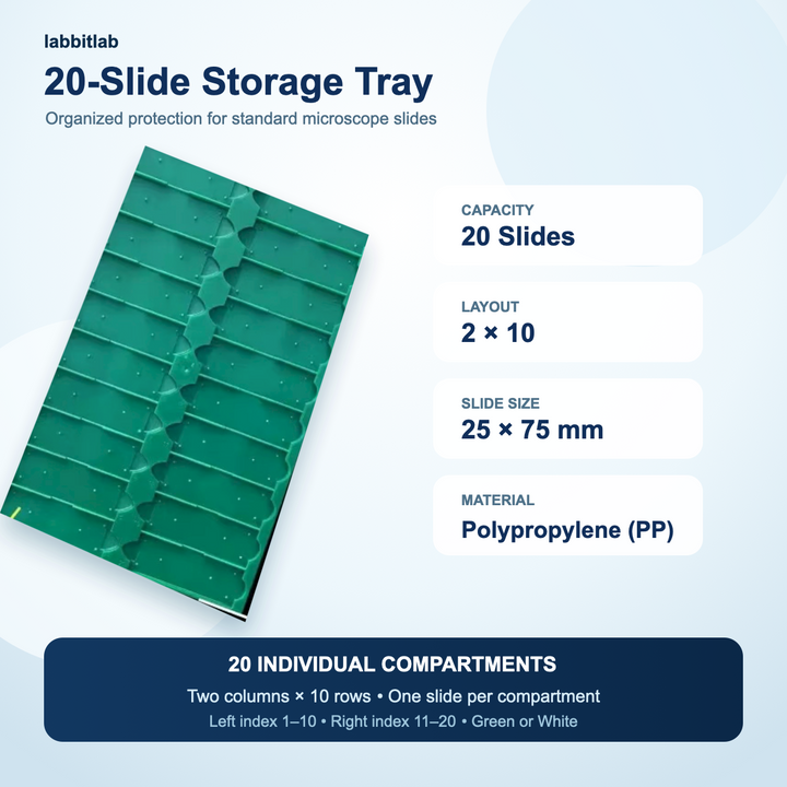 Polypropylene 20-slide microscope slide tray with two-column layout for organized laboratory slide storage