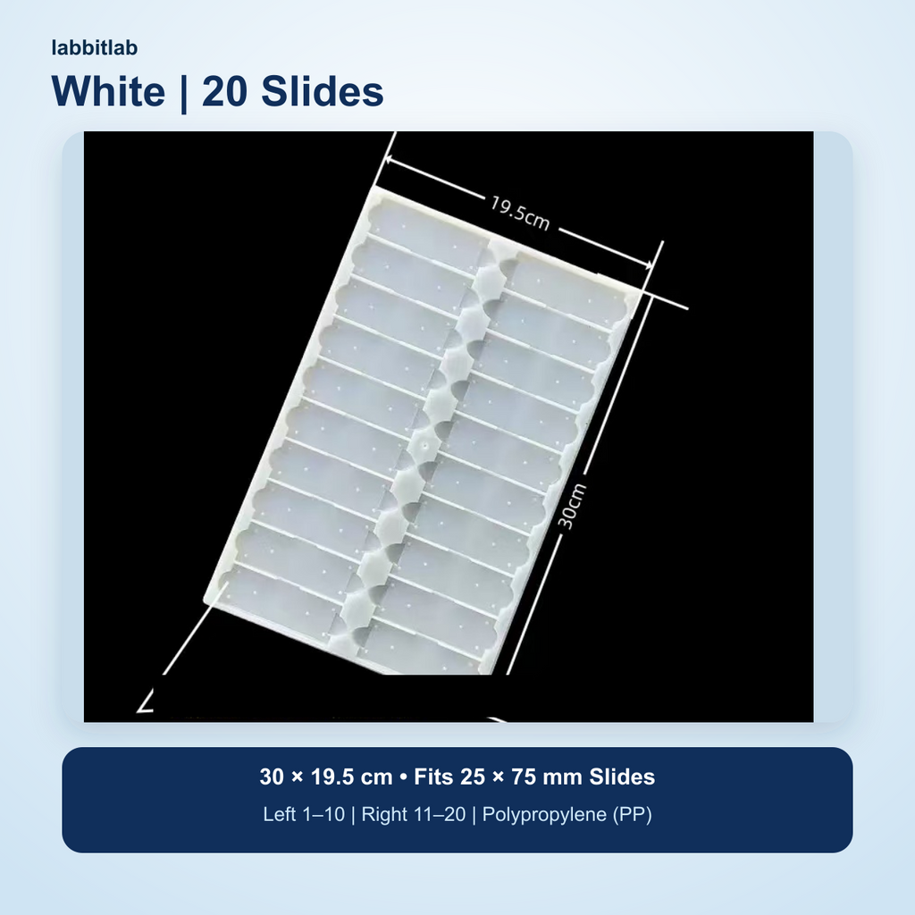 White polypropylene 20-slide microscope slide tray showing 30 × 19.5 cm dimensions